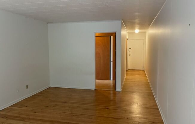 Studio, 1 bath, 487 sqft, $1,300, Unit Fifth 208