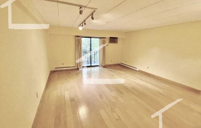Unique Coolidge Corner apartment