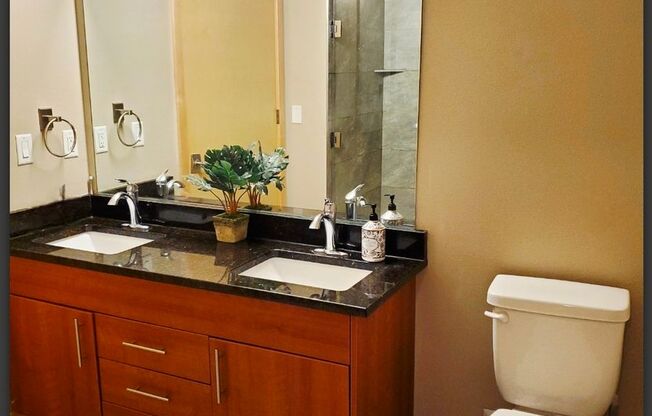 1 bed, 1 bath, 902 sqft, $1,950, Unit 205