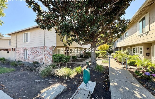 381 N TEMPLE DR