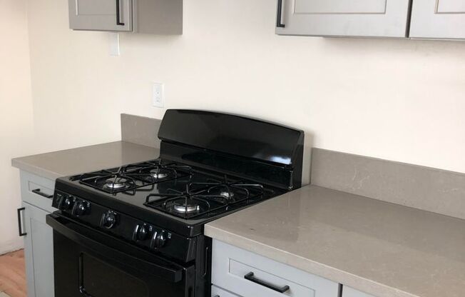 Newly remodeled 1 bedroom