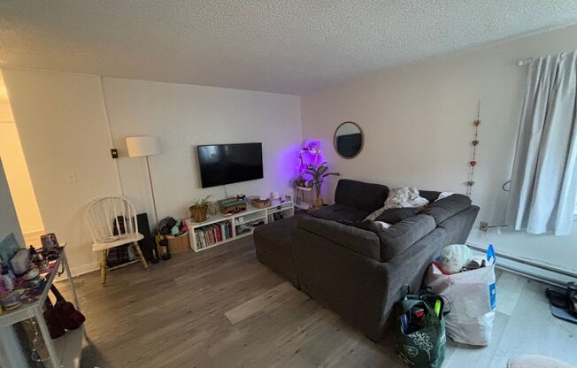 1 bed, 1 bath, 497 sqft, $1,500, Unit 208