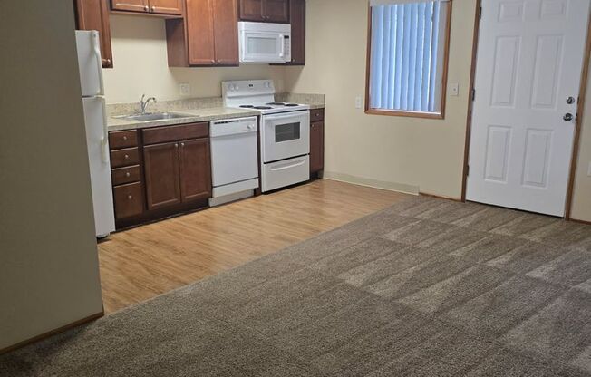 1 bed, 1 bath, 564 sqft, $1,250, Unit 1480-2