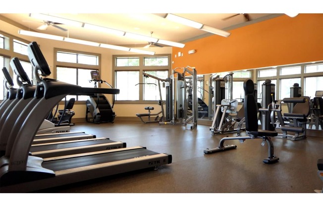 a gym with treadmills and other exercise equipment