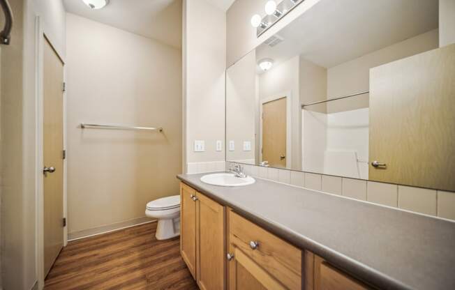 a bathroom with a sink and a toilet and a mirror