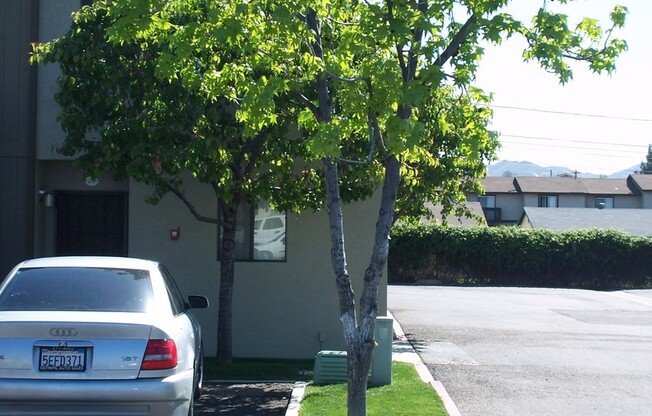 Oro Park Apartments