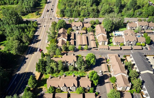 an aerial view of a neighborhood with houses and trees