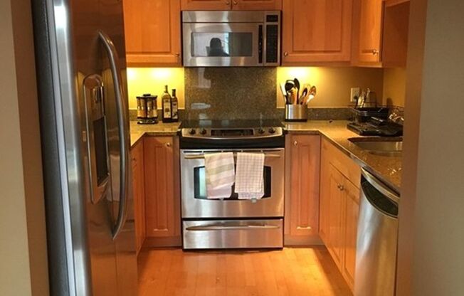 JUNE 1 - renovated 1 bedroom condo in Beacon Hill