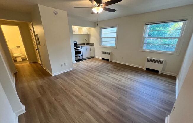 Studio, 1 bath, 374 sqft, $1,150, Unit 302