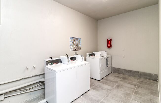 Fully remodeled 1 Bed/Bath apartments in South Tacoma!