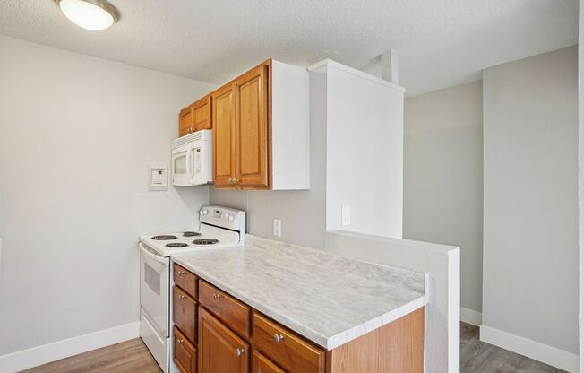 1 bed, 1 bath, 545 sqft, $795, Unit Unit 301