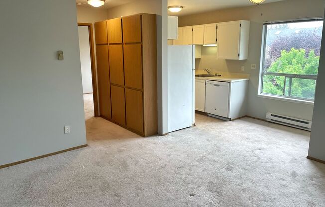1538 JR 51ST LLC