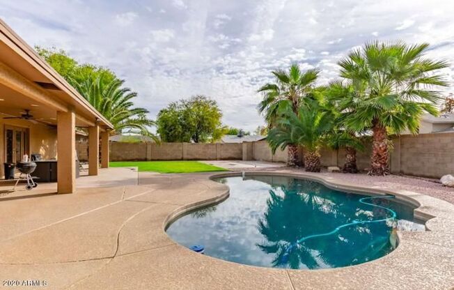 Beautiful Tempe home with pebbletec diving pool and gorgeous backyard!