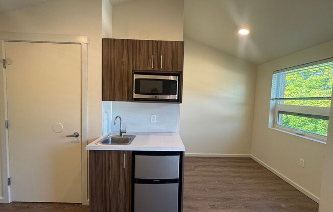 Studio, 1 bath, 178 sqft, $1,199, Unit 505