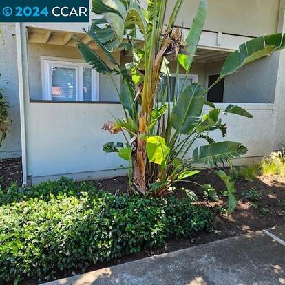 1505 Kirker Pass Rd #155