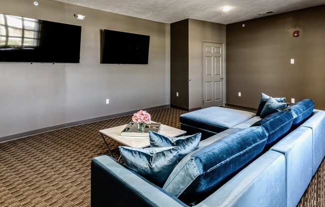 Viewing room at The Apartments at Lux 96 in Papillion, NE