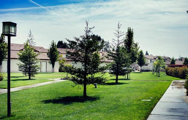 Large Open Space with Landscaping