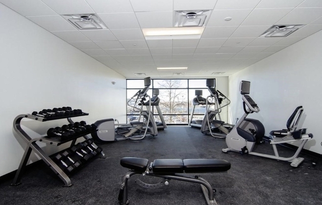 1 bed, 1 bath, 700 sqft, $3,000, Unit 202