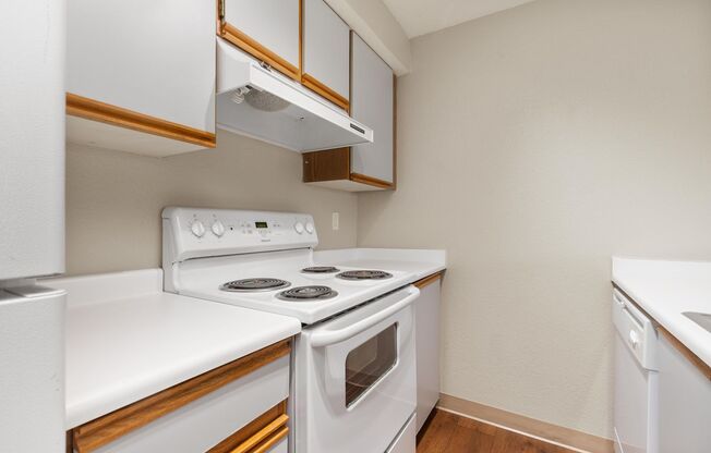 Studio, 1 bath, 504 sqft, $1,591, Unit 303
