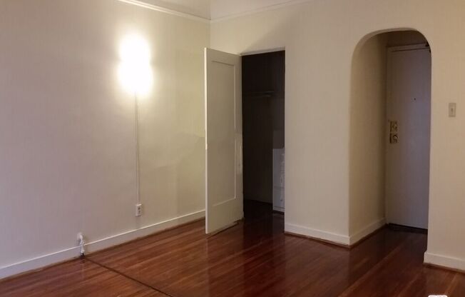 Studio, 1 bath, 511 sqft, $1,699, Unit 208