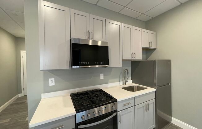 Studio, 1 bath, 345 sqft, $1,850, Unit 103