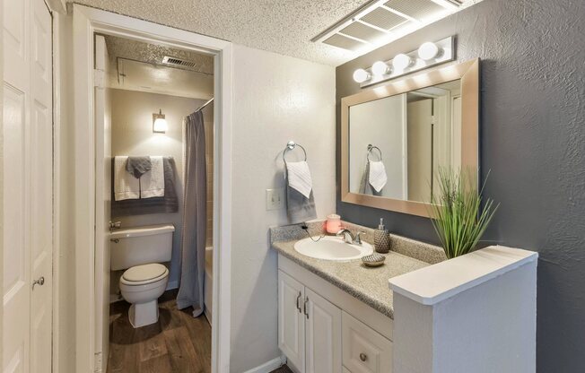 Bathroom at Rock Creek Apartment Homes in Dallas, Texas, TX