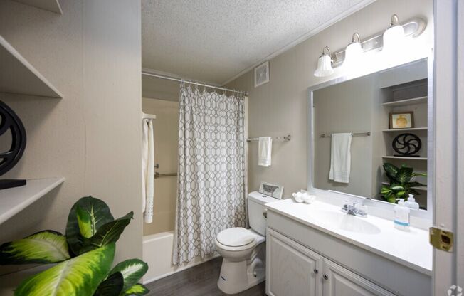 1 bed, 1 bath, 600 sqft, $1,189, Unit 2902