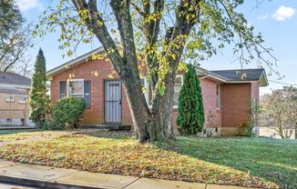 3 beds, 1 bath, $1,195