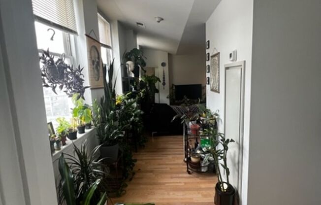 1 bed, 1 bath, $1,699, Unit 401