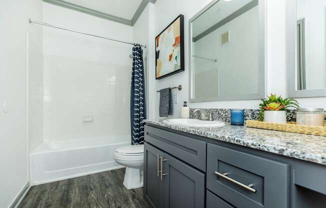 a bathroom with a sink and a toilet and a shower