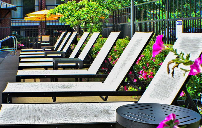 City Place at Westport - Poolside Lounge Chairs With Side Tables, Additional Covered Seating, and Decorative Trees and Bushes
