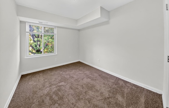 A room with a carpeted floor and a window showing trees outside.