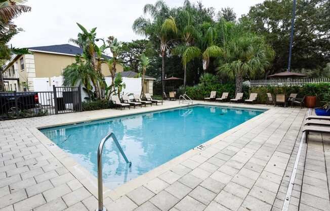 Pool view Westminster Tampa Florida