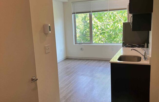 Studio, 1 bath, 281 sqft, $1,045, Unit 209