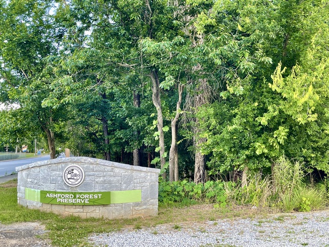 Ashford Forest Preserve