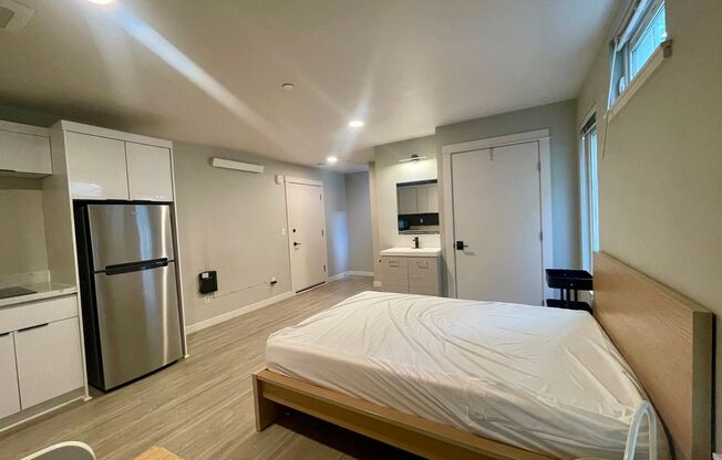 Studio, 1 bath, 250 sqft, $1,150, Unit 205