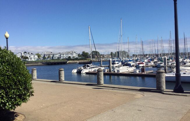 2 beds, 2 baths, $3,200
