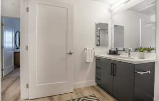 a bathroom with a sink and a mirror and a closet
