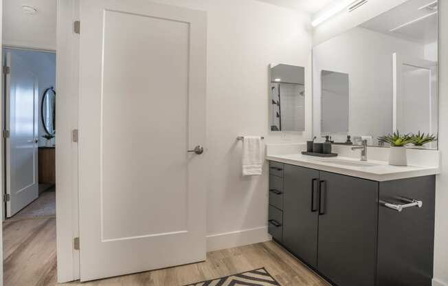 a bathroom with a sink and a mirror and a closet