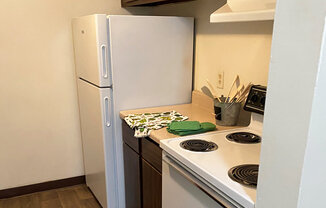 Apartment Kitchen with Dishwasher