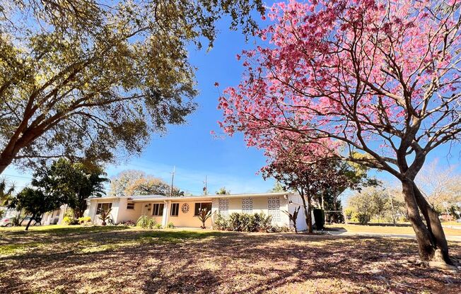 3BD/2BA Charming Blend of Modern Elegance and Florida Living at 1516 Dove Dr, Orlando! WASHER & DRYER INCLUDED!