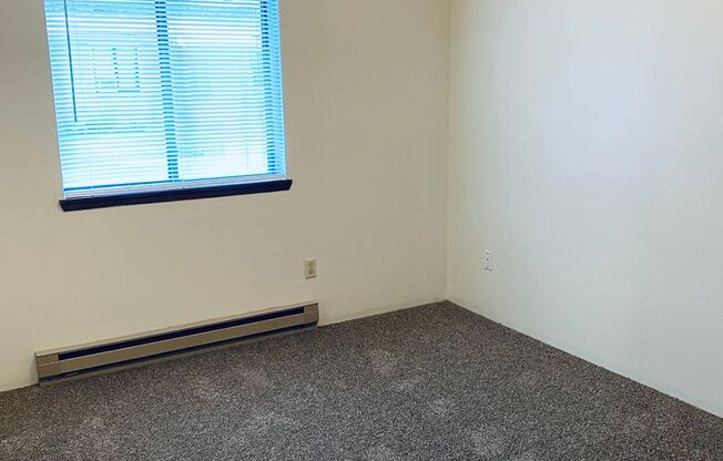 1 bed, 1 bath, $995