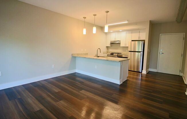 1 bed, 1 bath, 534 sqft, $1,495, Unit APT 205