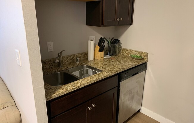 Studio, 1 bath, $850, Unit 313