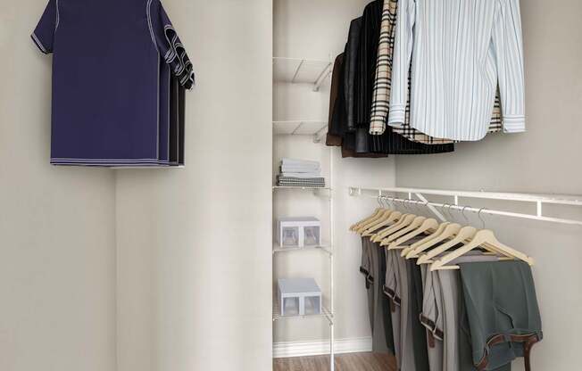 A row of clothes hanging on a rack.