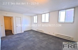 217 E 3rd Ave Apt 9