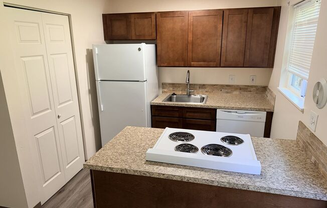 #245 VILLAGE GREEN APTS