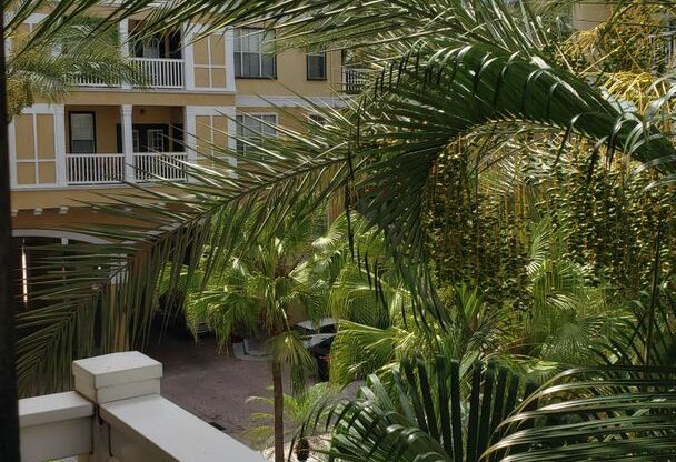 1 bed, 1 bath, $1,650, Unit Unit 341