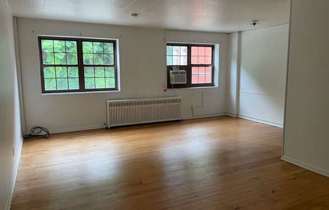 Studio, 1 bath, 487 sqft, $1,300, Unit Fifth 208