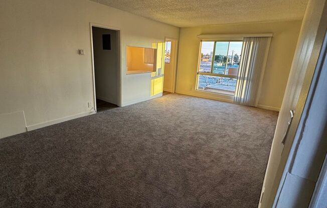 1 Bedroom Renovated Melrose Hill Apartment - $1900